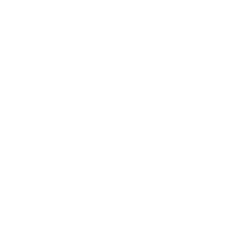 Icon Wartung Tore